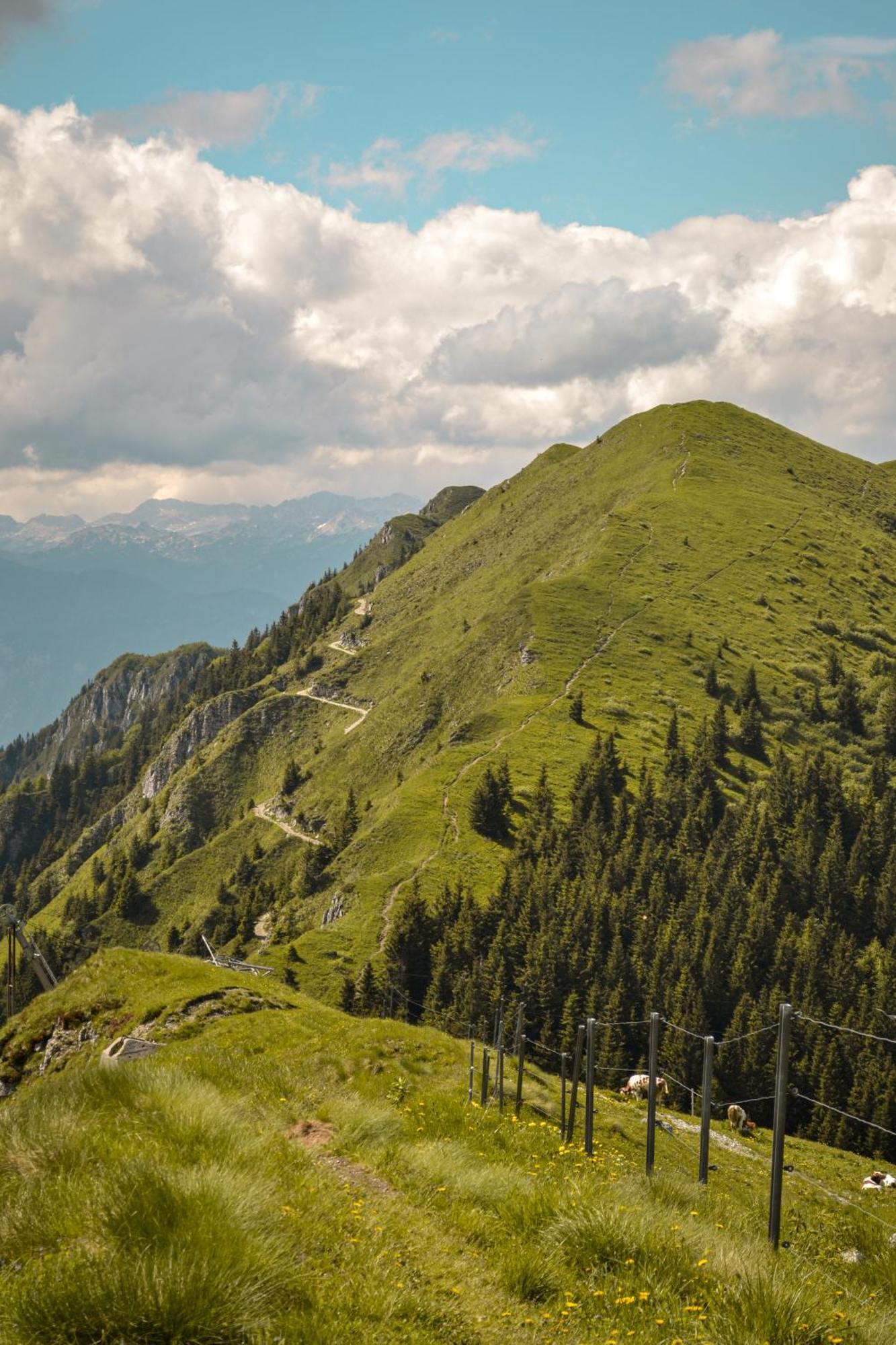 Guesthouse Lajnar Zgornja Sorica Экстерьер фото